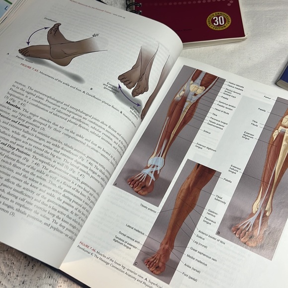 SET OF 3 AMERICAN COLLEGE OF SPORTS MEDICINE CERTIFICATION ACMS TEST PREP BOOKS - Picture 14 of 17